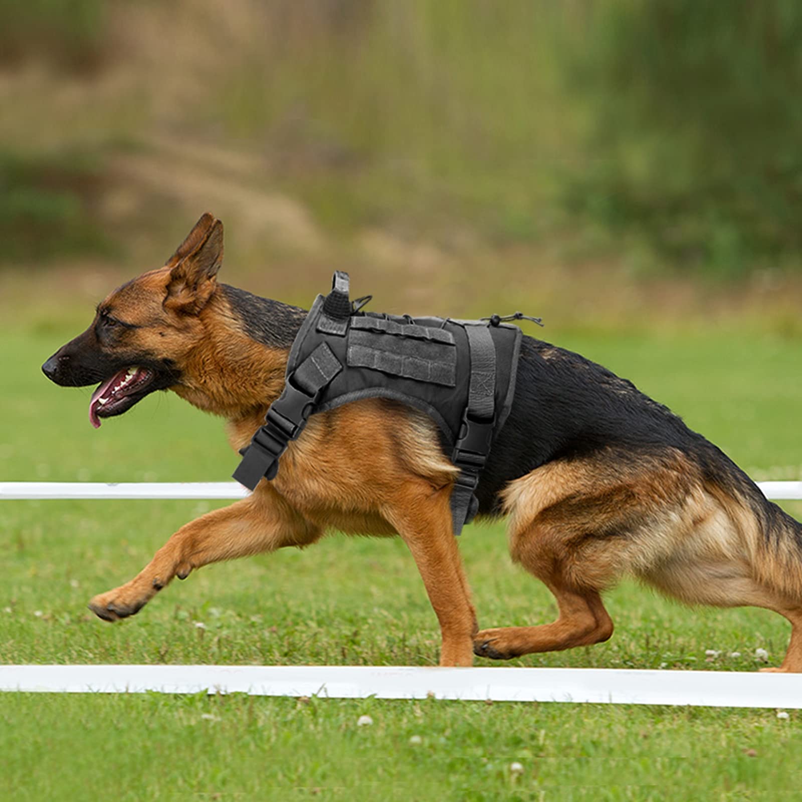 Imbracatura per Cani di Servizio Tattica,Guinzaglio per Cane,Pettorina Militare Gilet con Impugnatura Gancio per Cane Animale Domestico con Sacchetti Molle E Portabottiglie