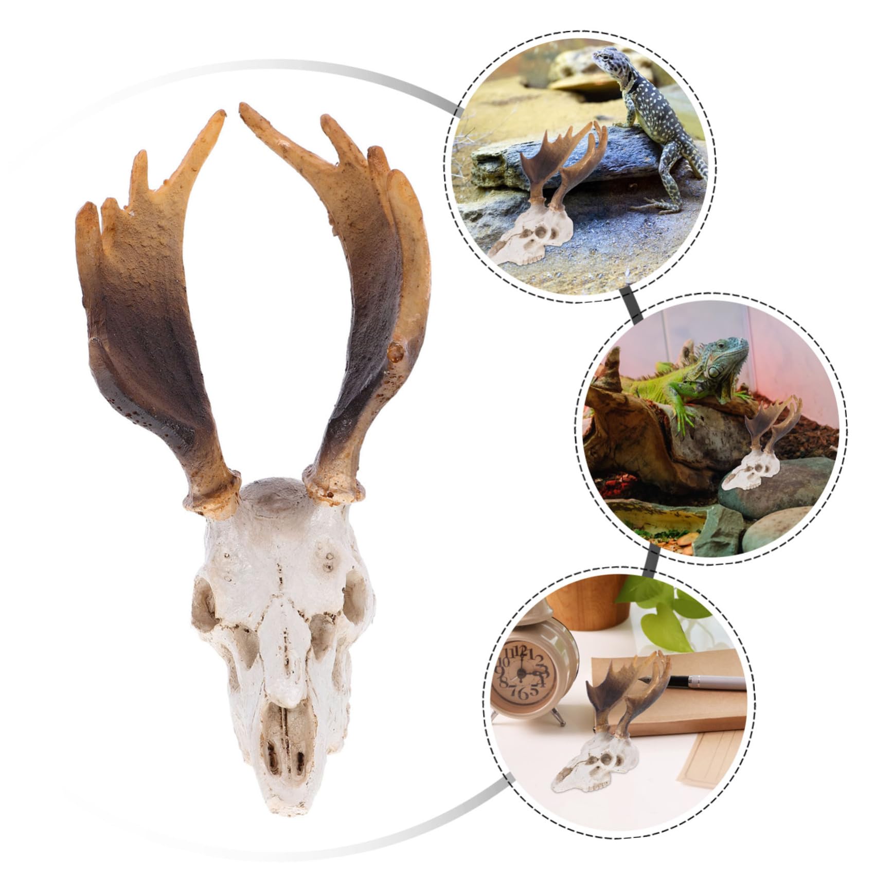 Toddmomy 3stücke Reptile Tank Dekoration Deer Skull Versteck Höhle Für Reptilien Baumaterialien Für Terraristische Pflegeleichtes Harzdesign