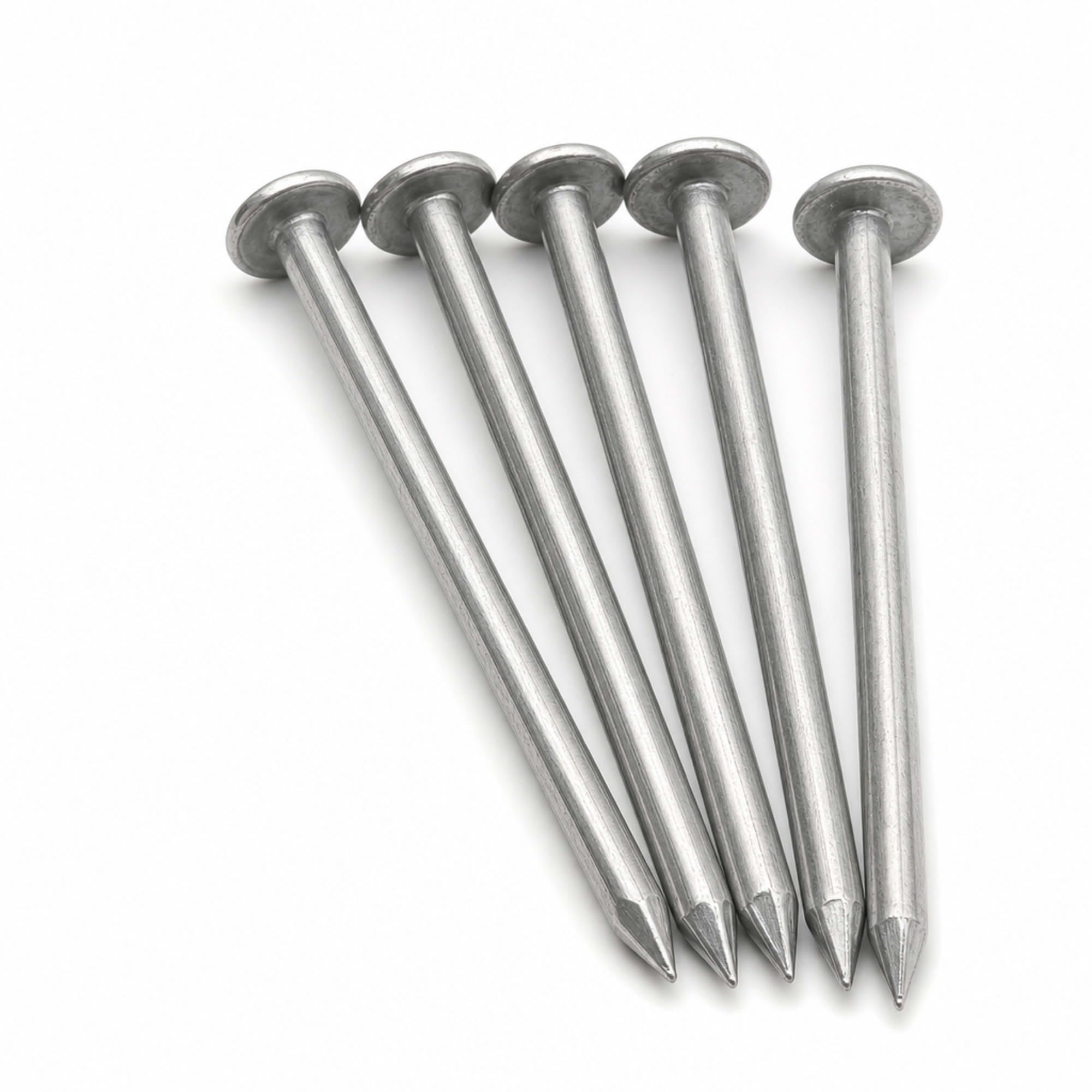 50 Clous Calotins - diamètre 2,7 mm - Longueur 30 mm - Diamètre 2,7 mm