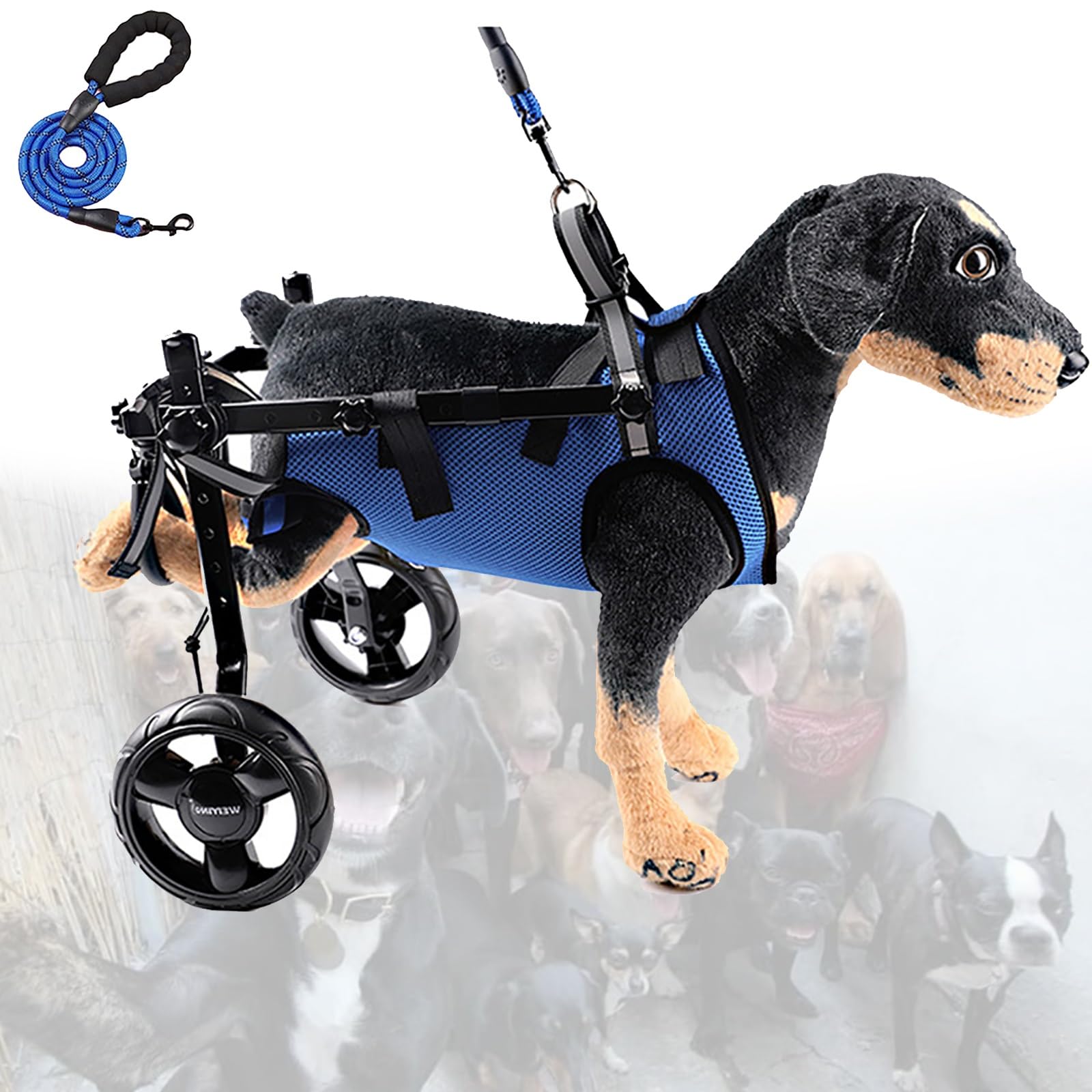 Fauteuil roulant pour chien | Chariot de mobilité léger pour balades et autonomie retrouvée