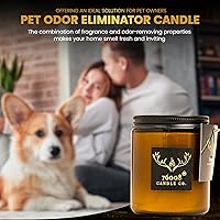 Vista 3 de Velas de soja perfumadas varoniles para hombres y mujeres - Mecha de madera, vertidas a mano, velas de tarro de aromaterapia de larga duración