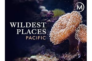 Wildest Places: Learn More About the Planet's Incredible Natural Spaces