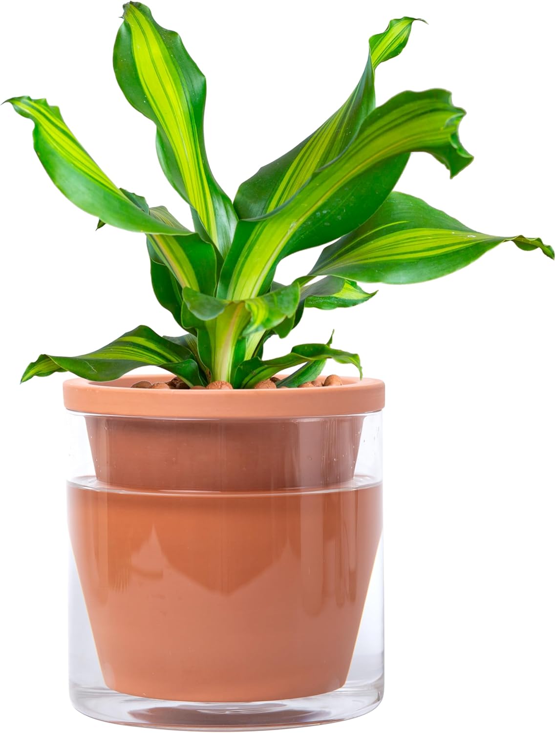 Do B And Q Recycle Plant Pots Low Prices