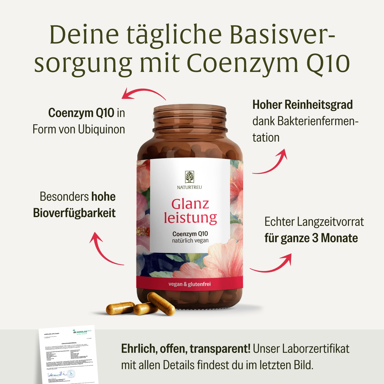 NATURTREU® Coenzym Q10 Kapseln hochdosiert mit 200mg pro Kapsel - 90 vegane Kapseln für 3 Monate - reines Ubiquinon aus pflanzlicher Fermentation - 100% vegan