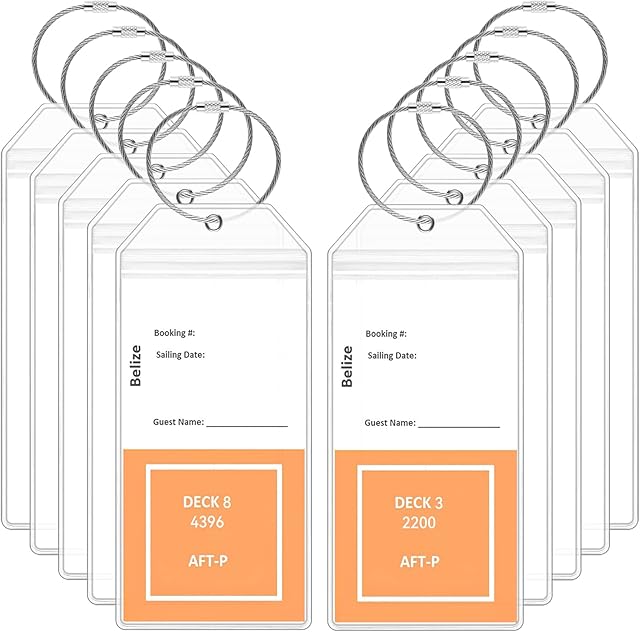 Cruise Luggage Tag Holder, 10 Pack Waterproof Suitcase Tags for Cruise, Clear Luggage Labels, Durable Travel Baggage Tags for All Cruise Line(19.2×8.9cm, with Steel Loop)