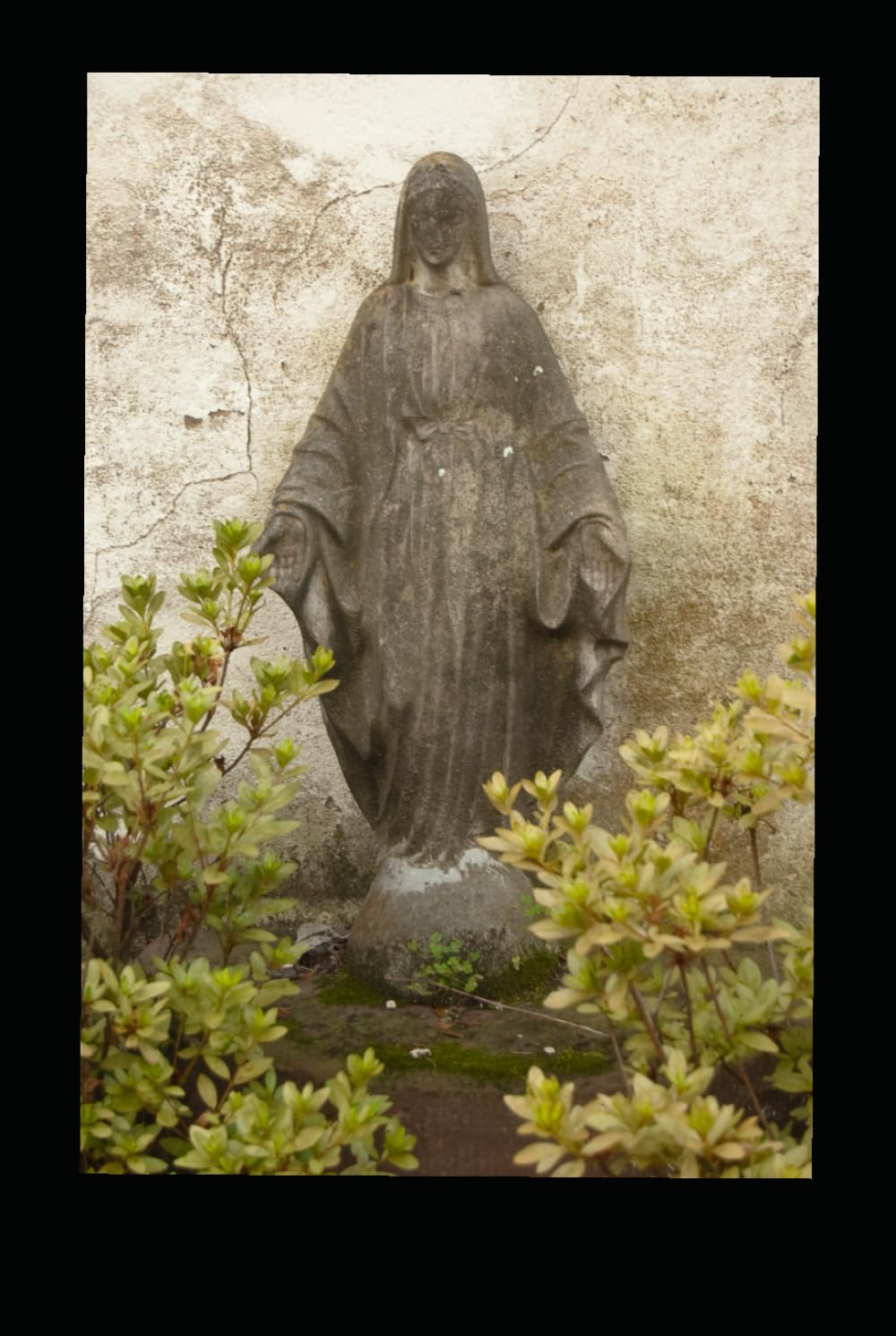 MARY THE MOTHER OF GOD: A PATH TO FIND JESUS