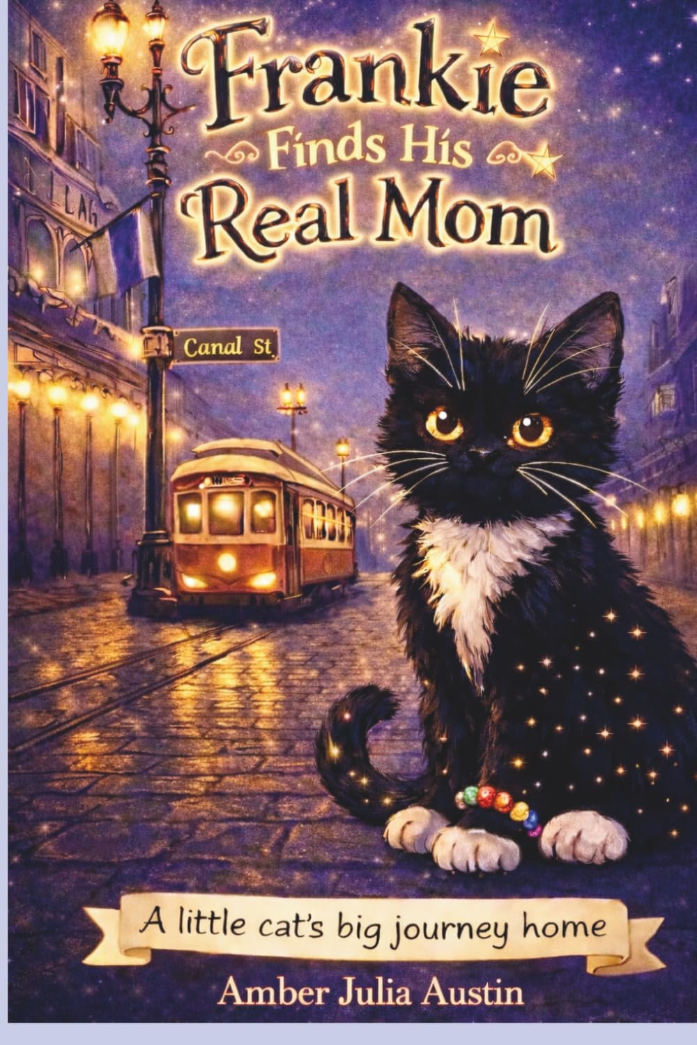 Frankie Finds His Real Mom: A little cat's big journey home