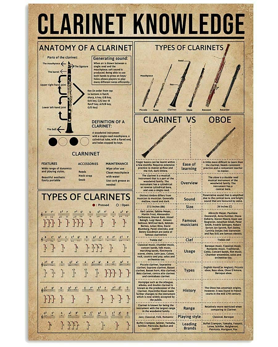 peiyeety Clarinet Knowledge Posters Metal Signs Orchestra Musicians Science Guide Room Bathroom Club Wall Decor Vintage Plaque 8"x12"