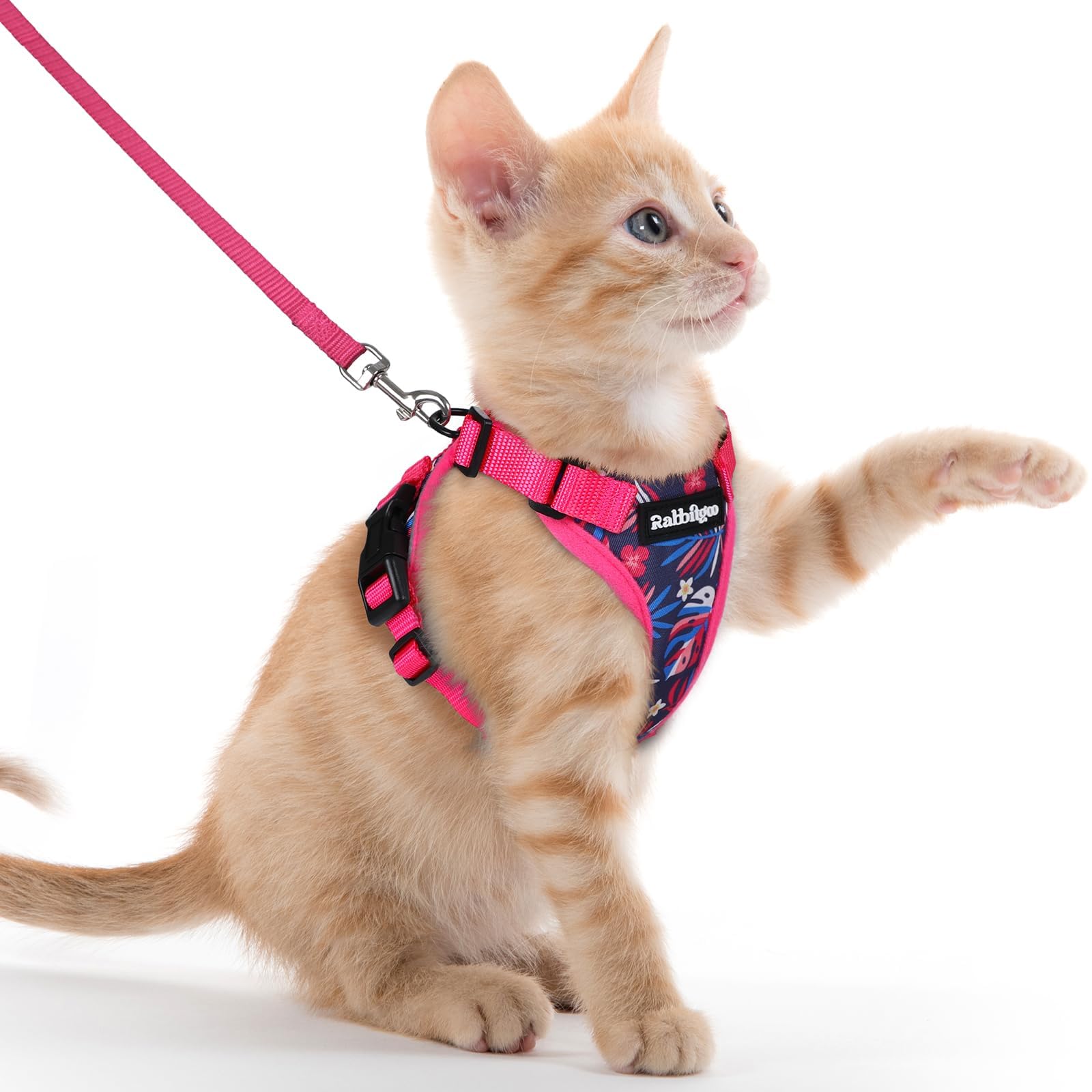 rabbitgoo Cat Harness and Lead Set, Adjustable Escape Proof Cat Lead for Walking, Reflective Kitten Harness Set, Soft and Comfortable for Medium to Large Cats,Coconut Fuchsia, XXS