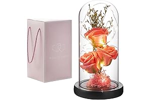 Oridom Enchanted Preserved Flower Rose