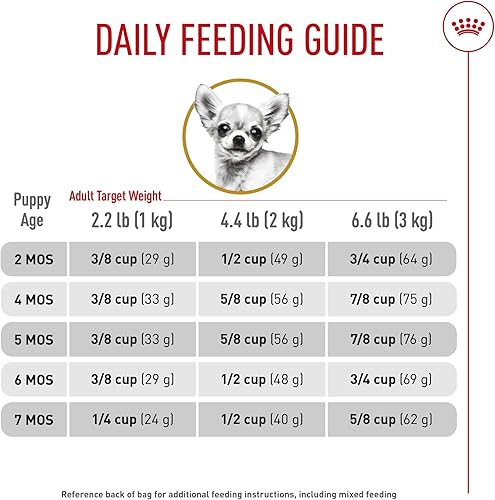 Miniatura 10 de Royal Canin Breed Health Nutrition - Alimento seco para perros chihuahua 25 libras