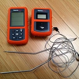 thermopro tp20 review