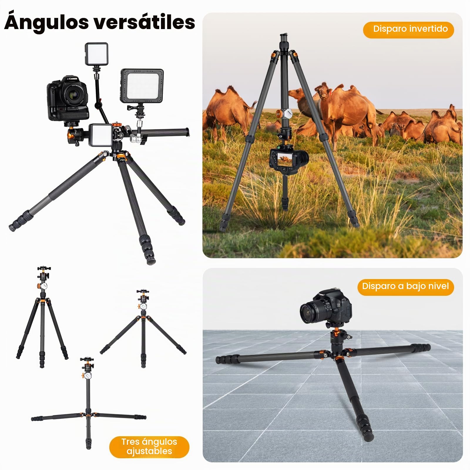 TARION Trípode de Fibra de Carbono para cámara de - 67 Pulgadas trípode Profesional DSLR con Doble rótula panorámica Zapata fría trípode de Viaje para cámaras videocámaras fotografía