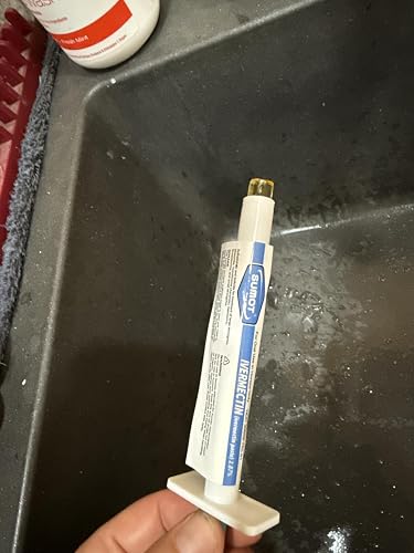ubuy Uruguay