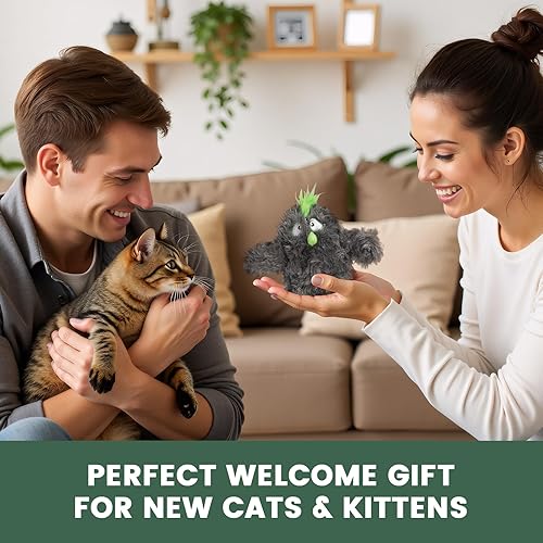 Miniatura 4 de Gardner Pet Juguetes para gatos que aletean sin volar), activado al tacto con alas aleteadoras realistas y pájaro que canta, juguete interactivo