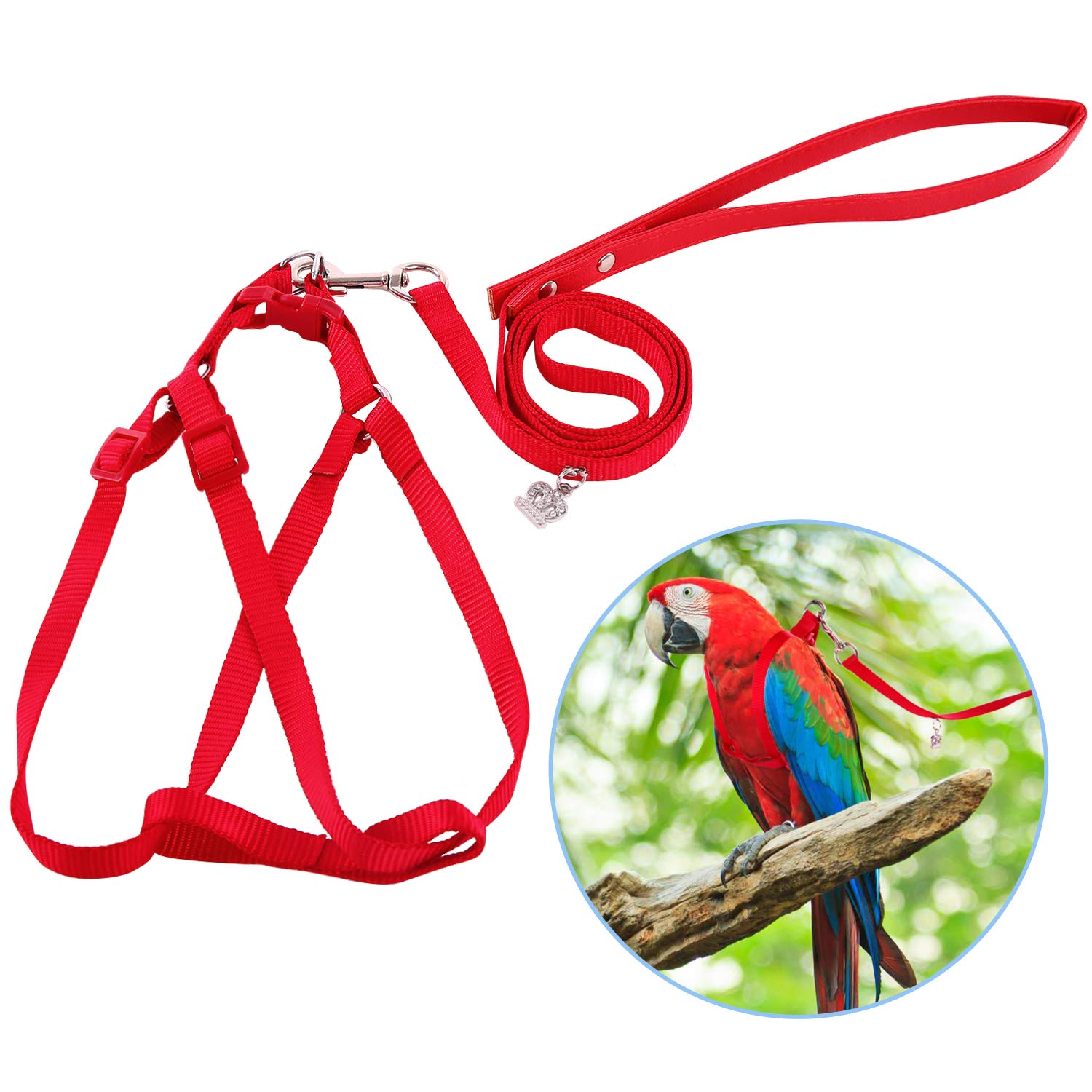 10 Best Cockatoo Bird Harnesses for Safe and Comfortable Outings