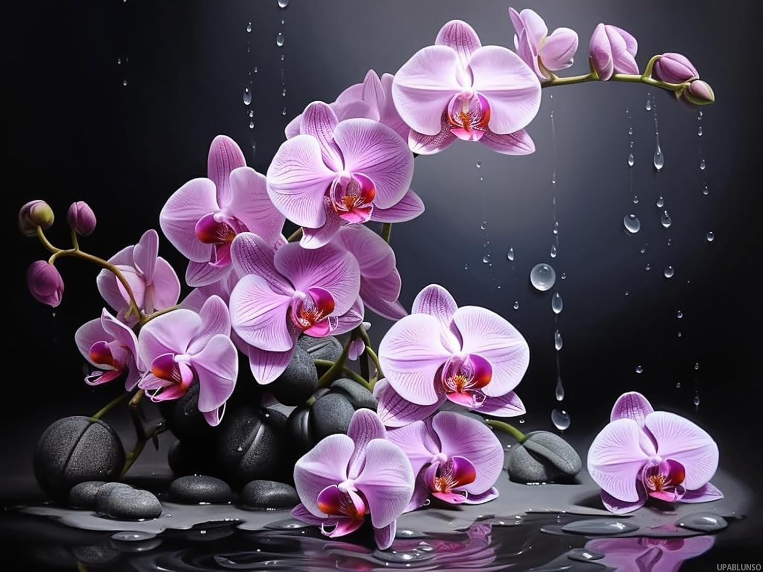 UPABLUNSO Orchids and Black Stones 5D Diamond Paint for Adults Full Drill Round Diamond Art Painting by Number Kits for Beginners Gems Cross Stitch for Wall Decor 12x16inch