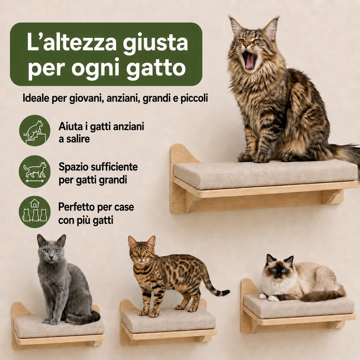Parete di arrampicata per gatti, Set di mensole per Arrampicata per Gatti, mensola da parete per arrampicata, 38x27cm