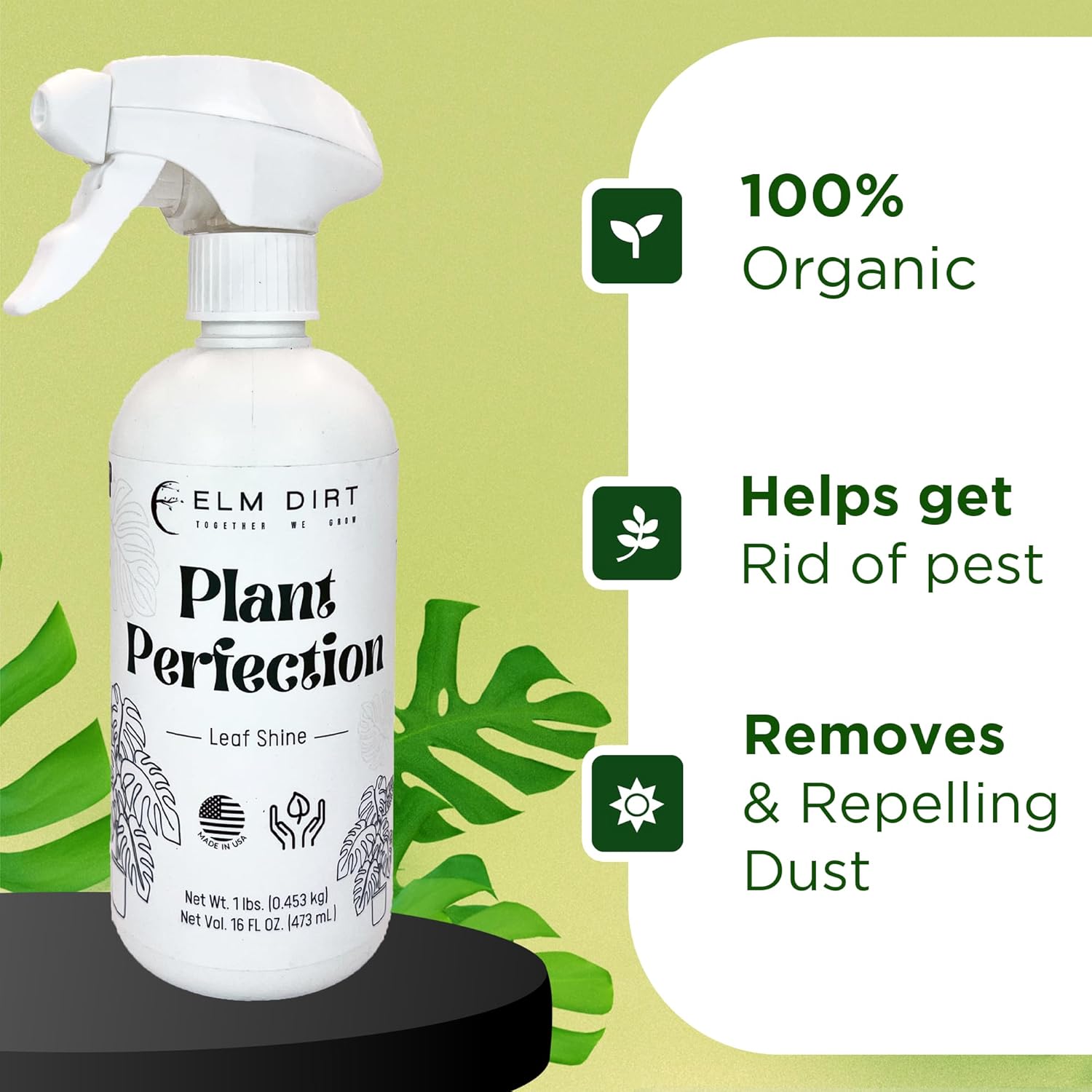 Elm Dirt Plant Perfection Spray for All Plants - Leaf Shine for Indoor Plants & Outdoor Plant Food | Natural Plant Spray for Cleaning Off Dust & Spots, Plant Leaf Cleaner 16oz