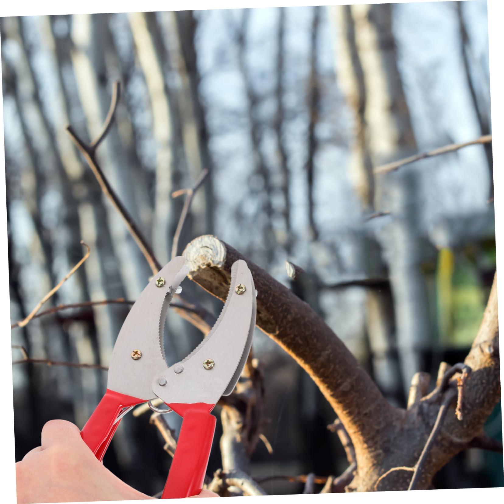 TOYANDONA 5stücke Einstellbares Obstbaum- -entfernungstool Praktischer Girdling Cutter Für Obstbäume Und Pflanzenpflege Für Effiziente Anwendung Beim Schneiden Und Abziehen Von