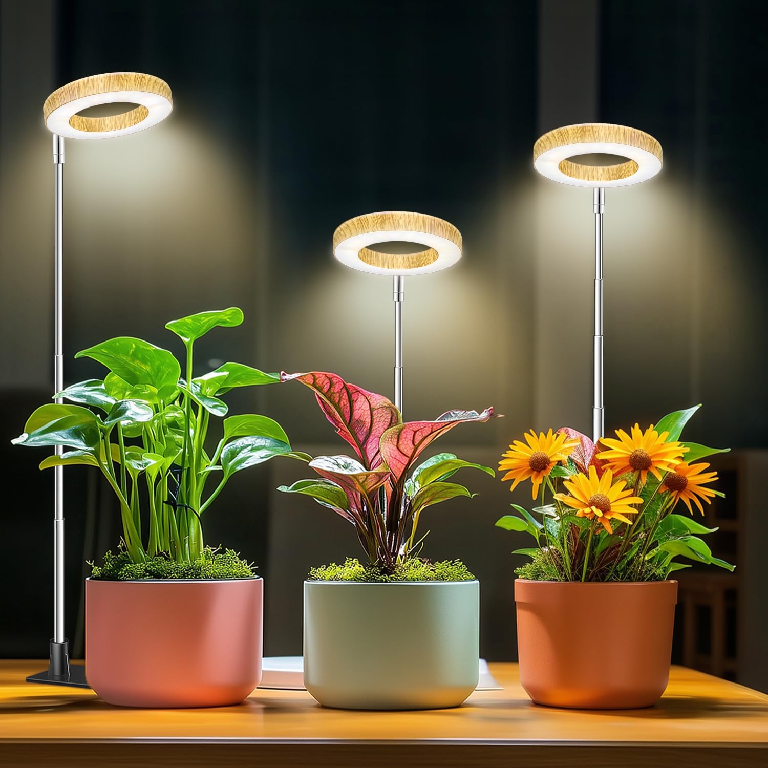 Aokrean adjustable halo grow lights illuminating several indoor potted plants
