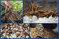 Vista 6 de TooGet Organic Dandelion Root - Cut & Sifted, Natural Dried Dandelion Root Loose Tea Wholesale - 8 OZ