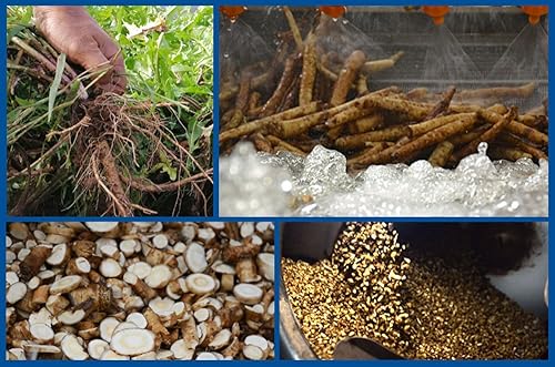 Miniatura 6 de TooGet Raíz de diente de león orgánica, cortado y tamizado, té suelto de raíz de diente de león seco natural al por mayor - 8 onzas