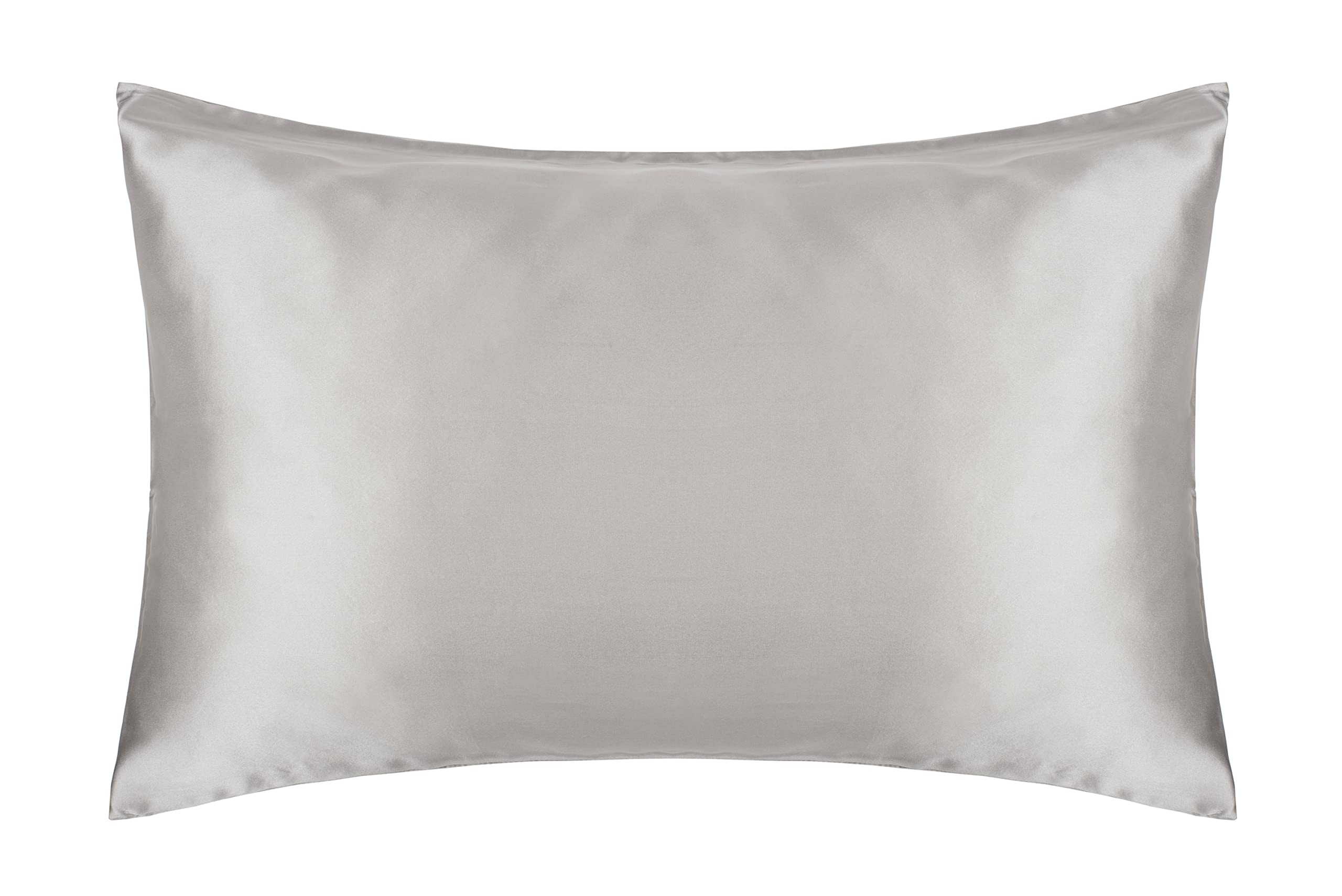 Belledorm Platinum Cocoonzzz Mulberry Silk Pillowcase (Platinum)