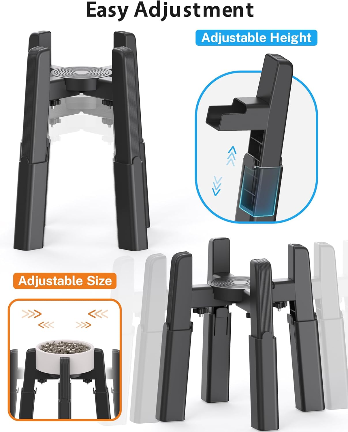 Elevate Your Dog