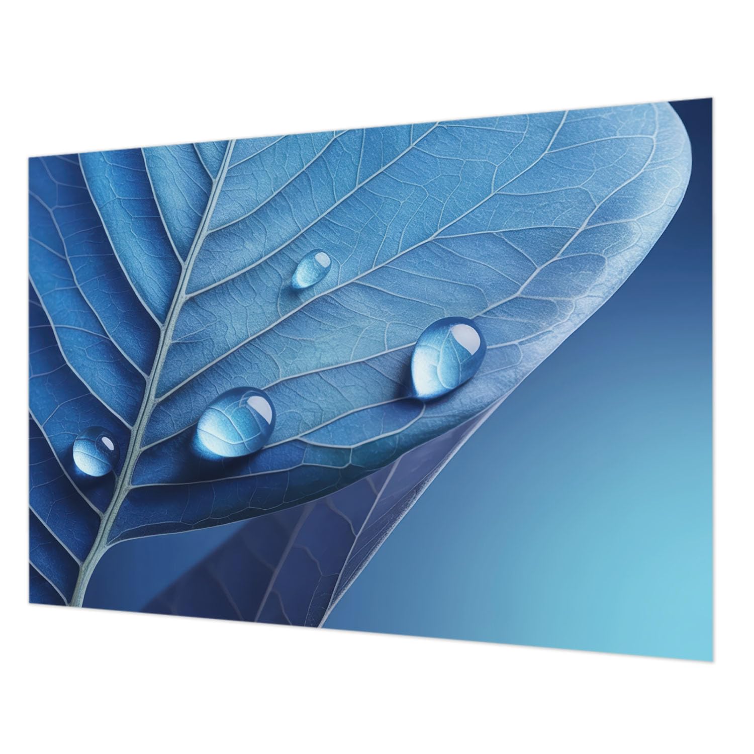 Revêtement mural lavable intissé 312x219 cm avec colle incluse