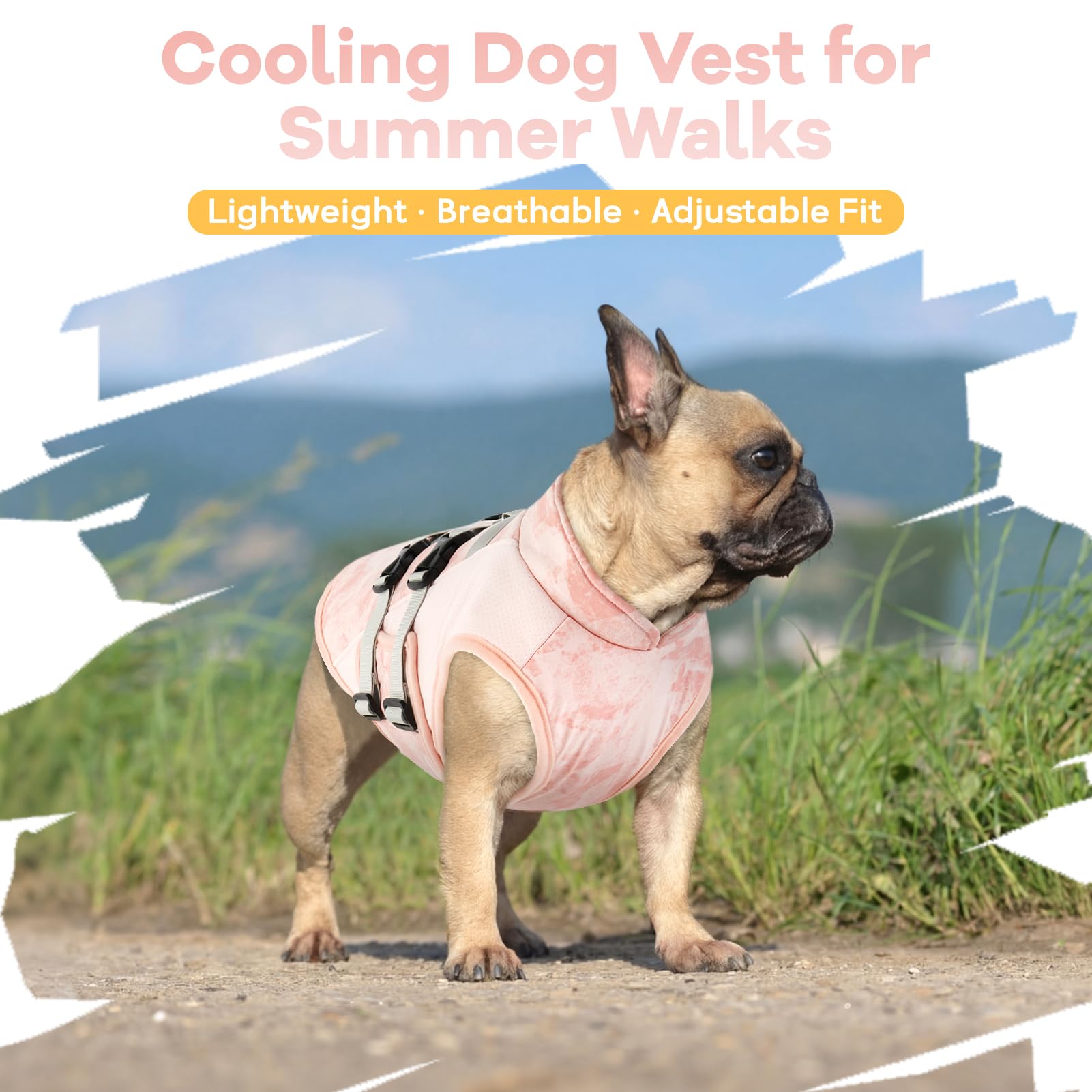 Cappotto Rinfrescante Cane Estivo | Gilet Traspirante con Anello D Integrato | Regolabile | Leggero e Anti Scivolo | Ideale per Passeggiate e Viaggi (Rosa Brezza M)
