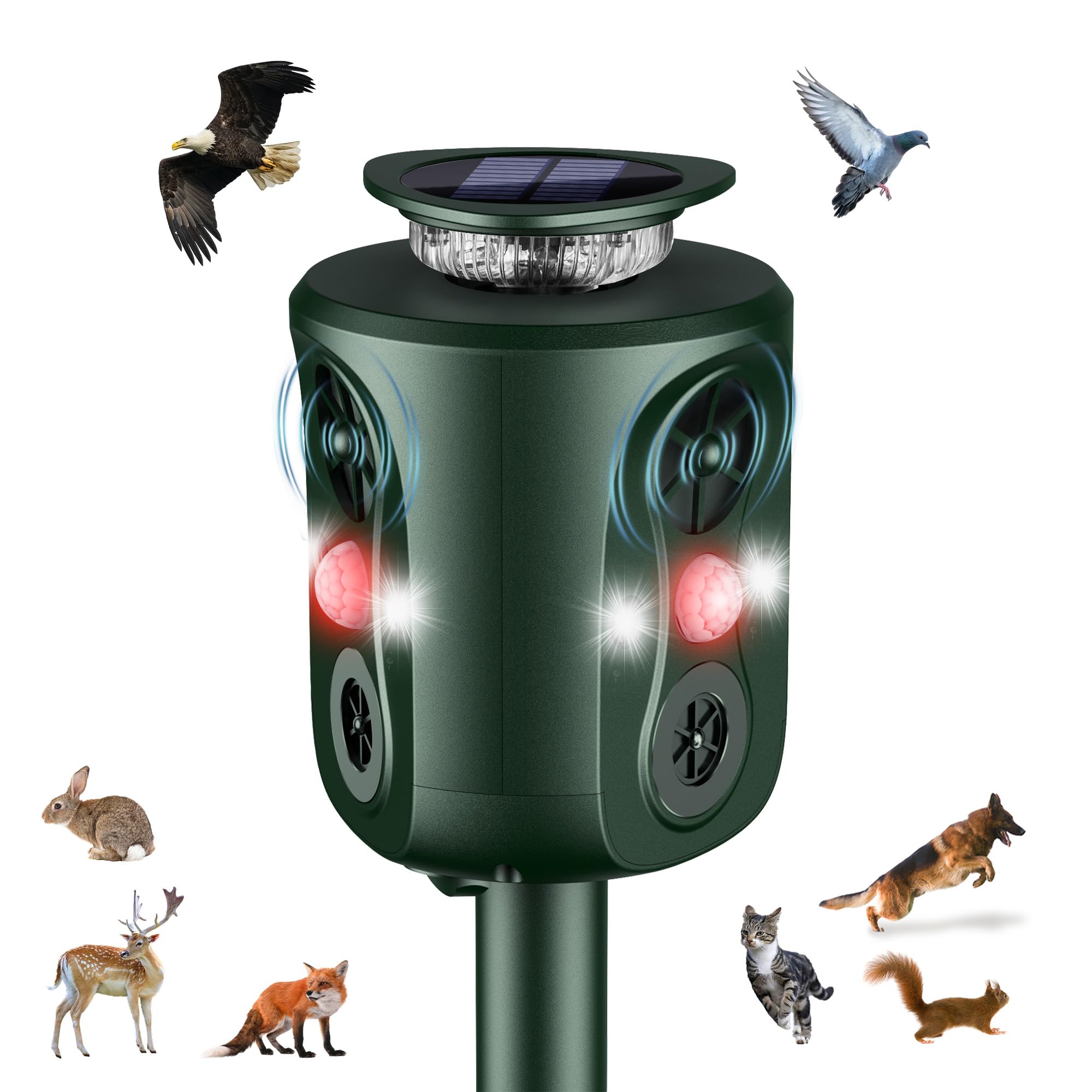 Katzenschreck Ultraschall Solar Tiervertreiber, 360° Marderschreck mit LED-Licht Katzenabwehr Marderabwehr Garten IP66 Wasserdicht 5 Modus Waschbär Abwehr für Katzen Hunde Marder Mäuse Vögel