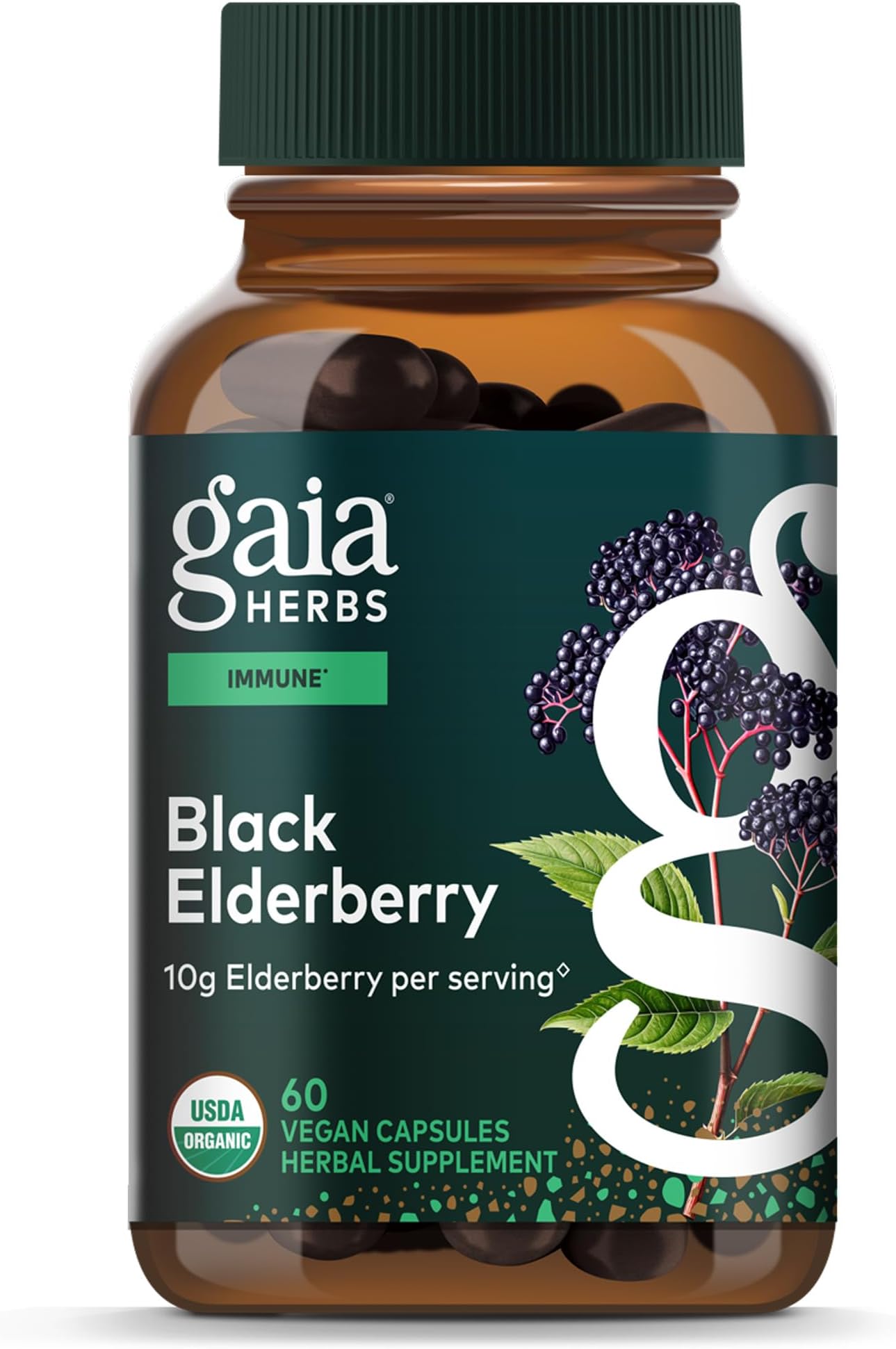 Black Elderberry - Daily Immune Support Supplement to Help Support Wellness - with Black Elderberries & Acerola Fruit for Antioxidant Support* - 60 Vegan Capsules (30 Servings)