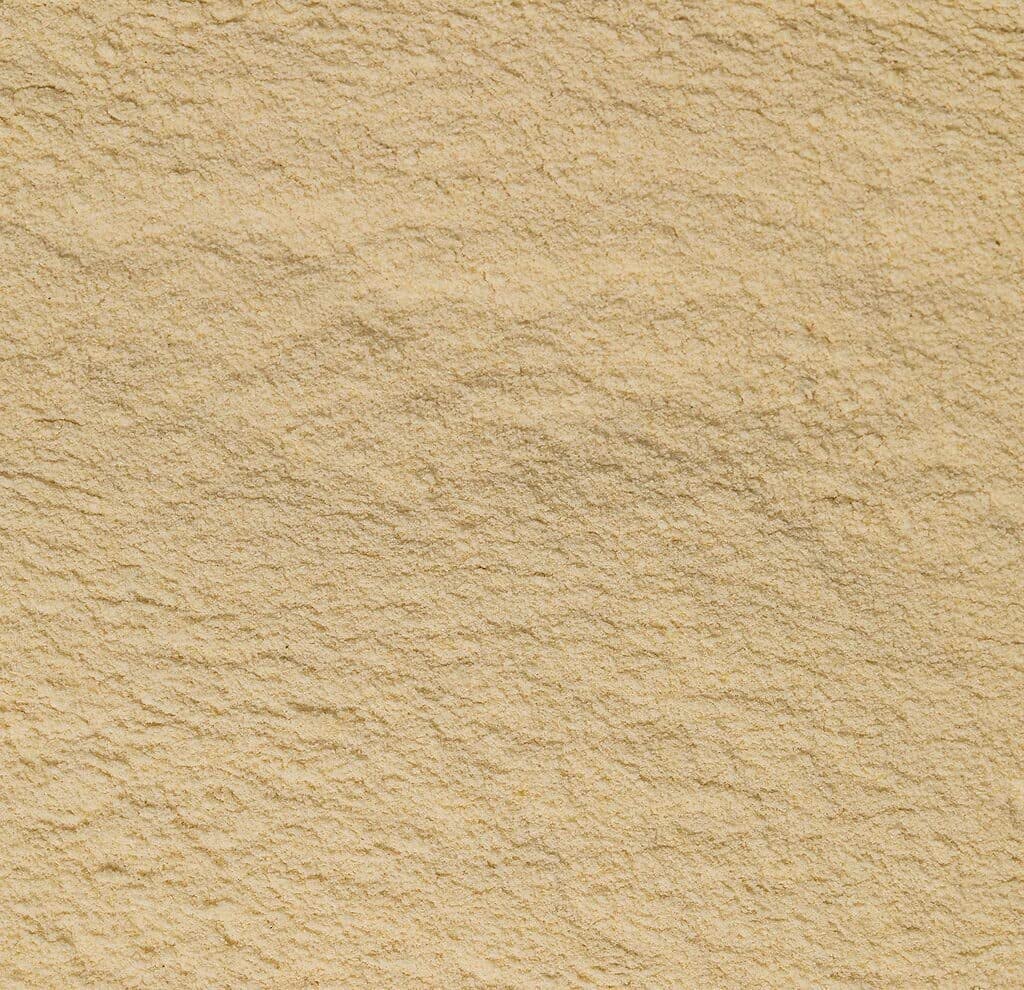 Organic California Garlic Powder (1)