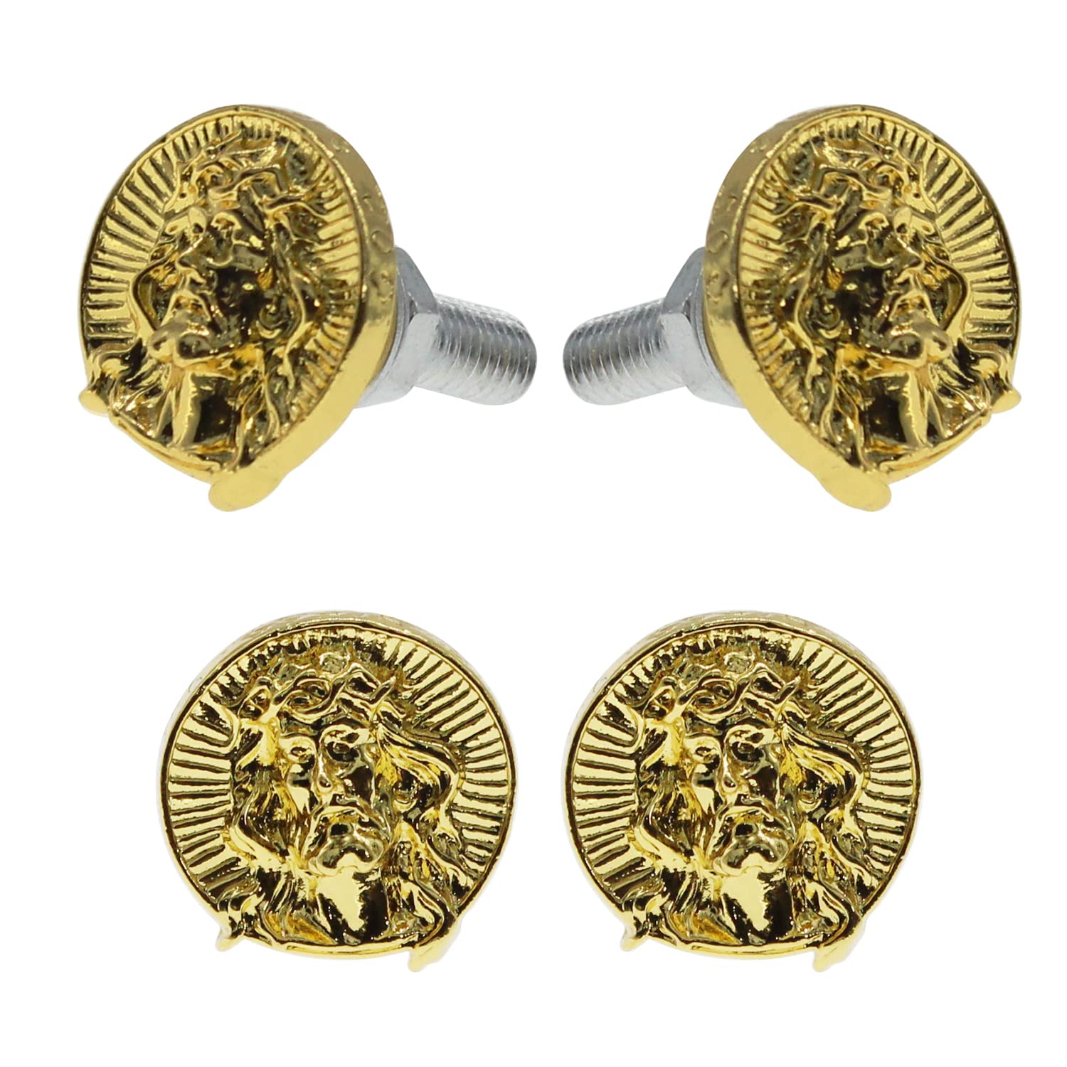 License Plate Bolts, 4 pcs Universal Jesus Style Stainless Steel License Plate Screw Kit for Motorcycle Chopper Windshield Trim Car Tag Frame, Unique