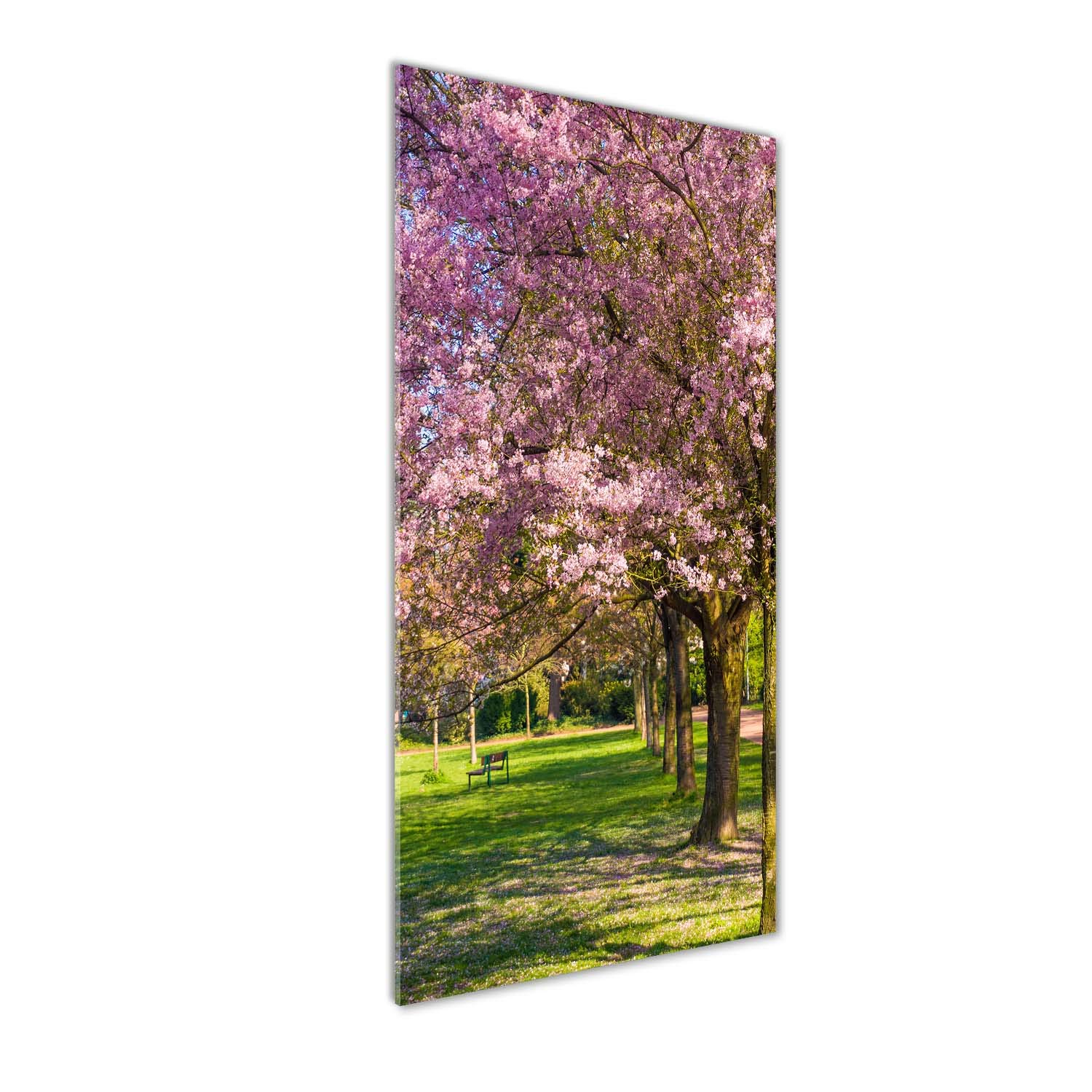 Tableau en verre acrylique 50x125 cm rose paysage cerisiers Tulup