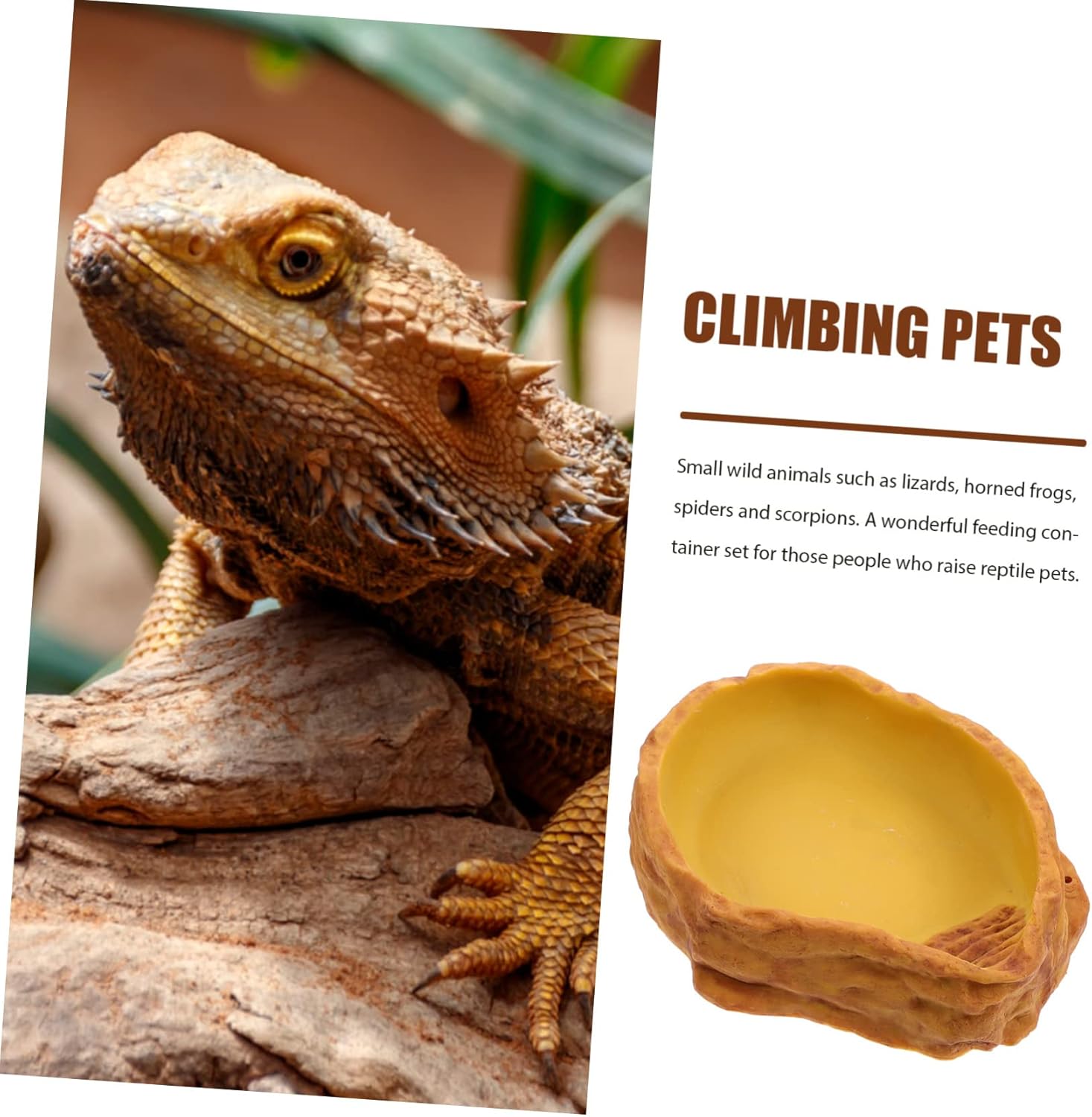 Milisten Rocks Pattern Reptile Food Bowl Durable Feeding Dish Water Holder for Tortoise Lizard and Snake Bath Tub for Reptile Supplies and Habitats