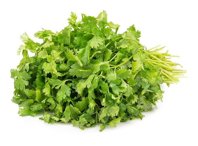Fresh Coriander, 100g Amazon.in Grocery & Gourmet Foods