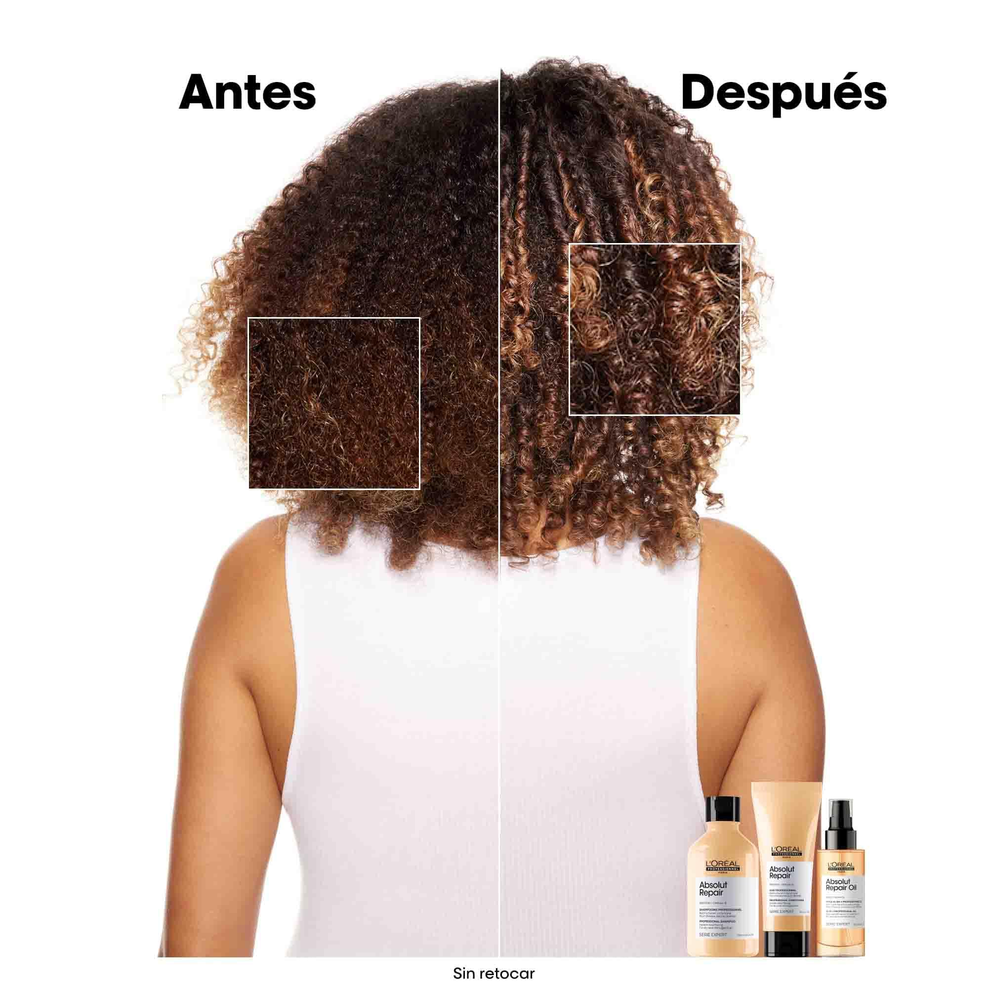 L'Oréal Professionnel Absolut Repair Pack Champú, Acondicionador y Aceite Serie Expert, Reparación para Cabello Seco y Dañado, con Proteína y Omega-9, 3 Unidades