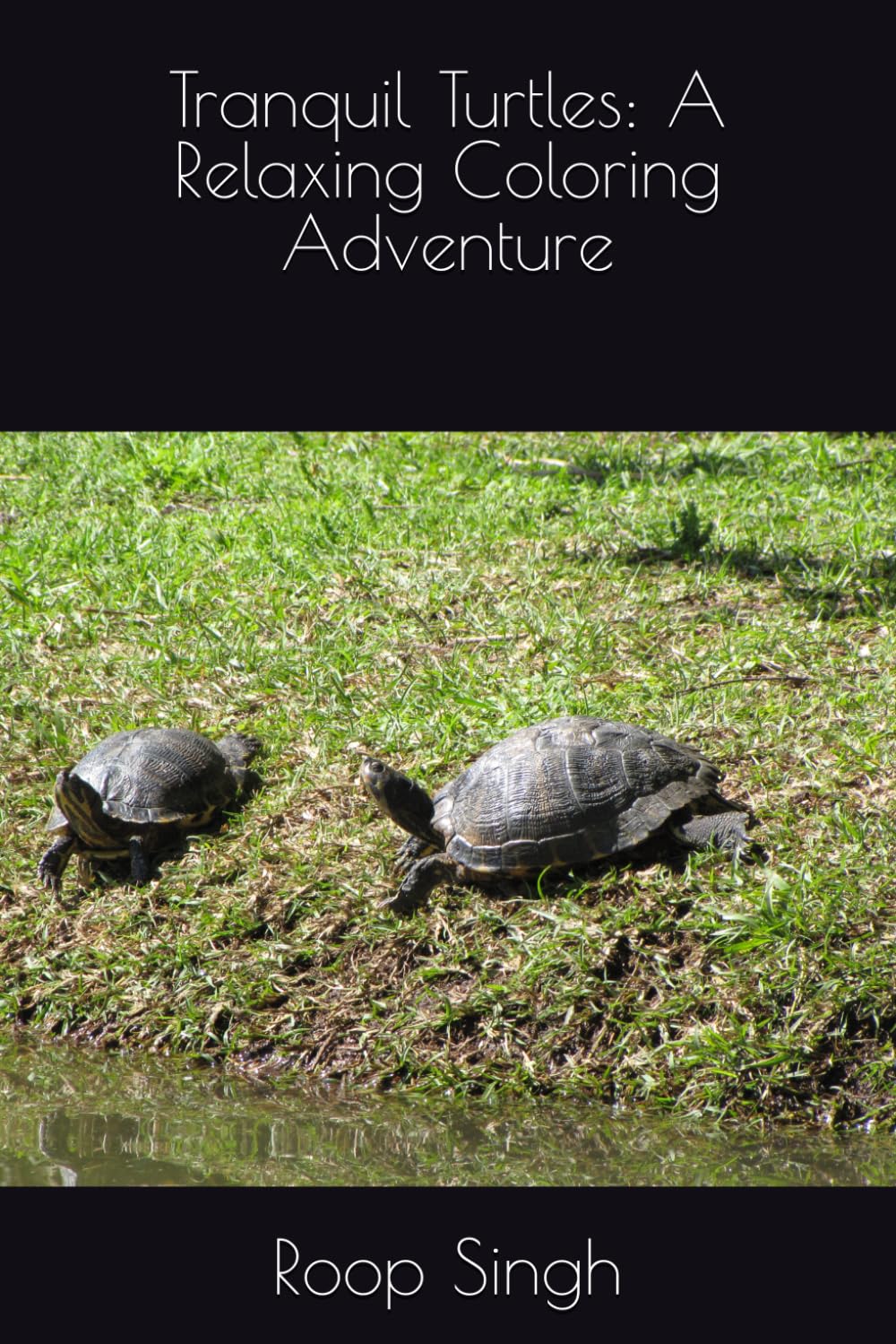 Tranquil Turtles: A Relaxing Coloring Adventure