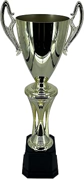 Express Medals Various Styles of Award Trophy Cups Trophies Prize Gift Champion Winner 1st Place