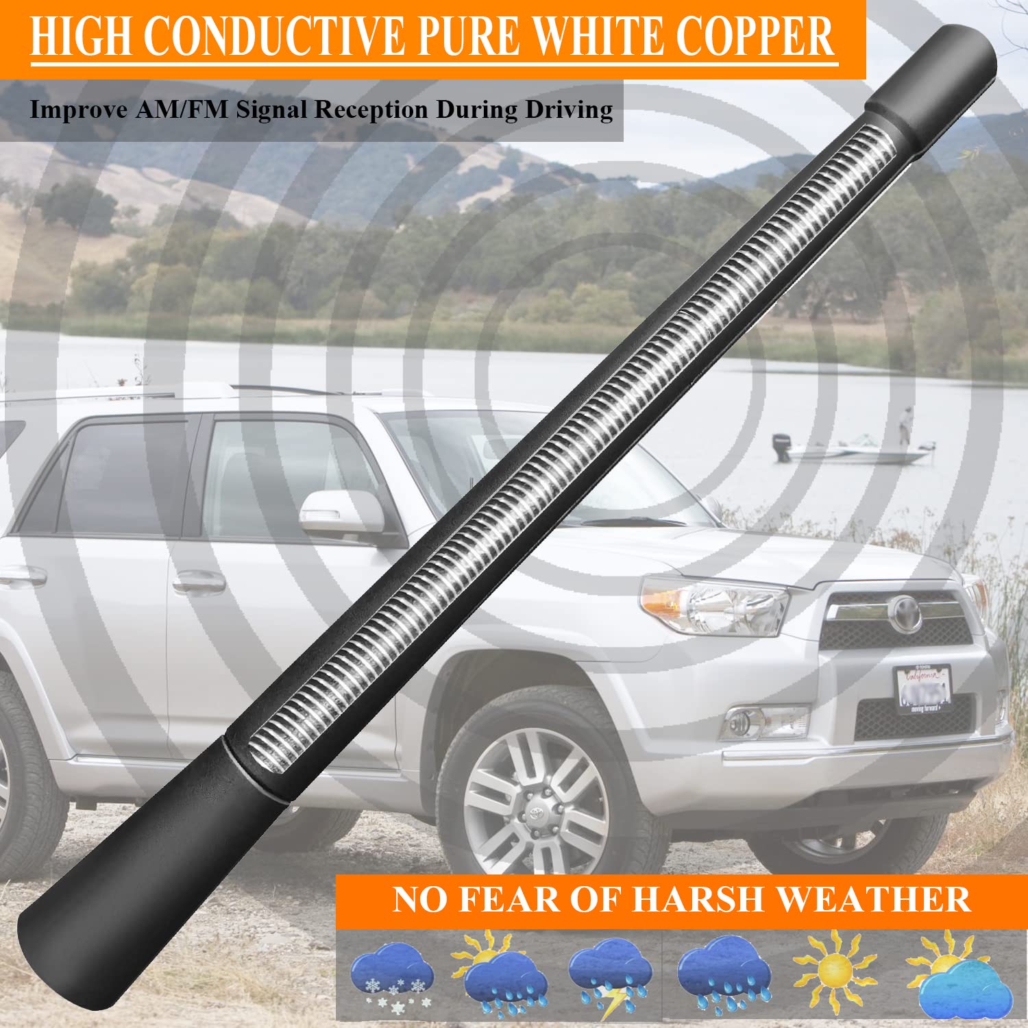 Amazon.com: 7 Inch Antenna Replacement for Toyota 4Runner (2002 