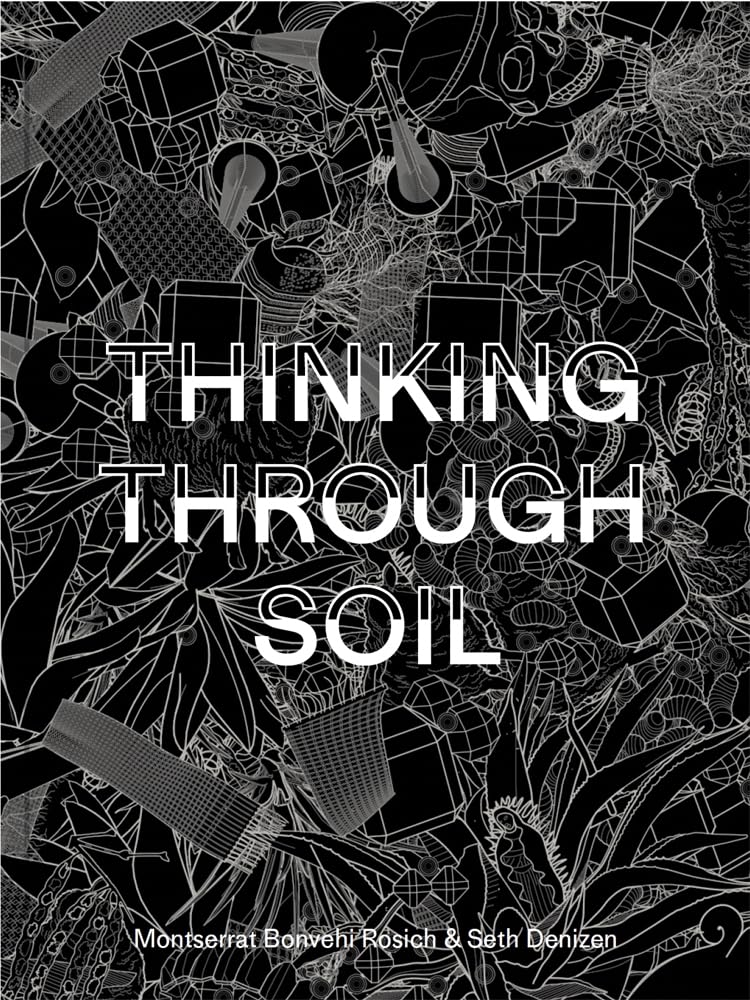 Thinking Through Soil: Wastewater Agriculture in the Mezquital Valley
