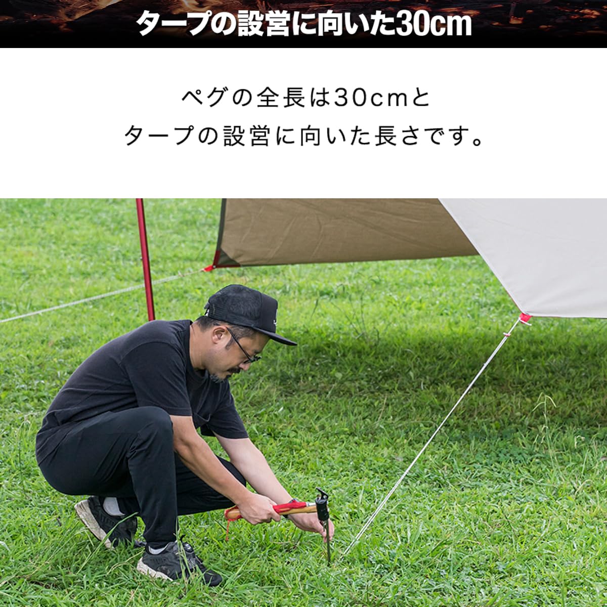 Amazon | FIELDOOR チタンペグ テント用 タープ用 30cm 16本セット