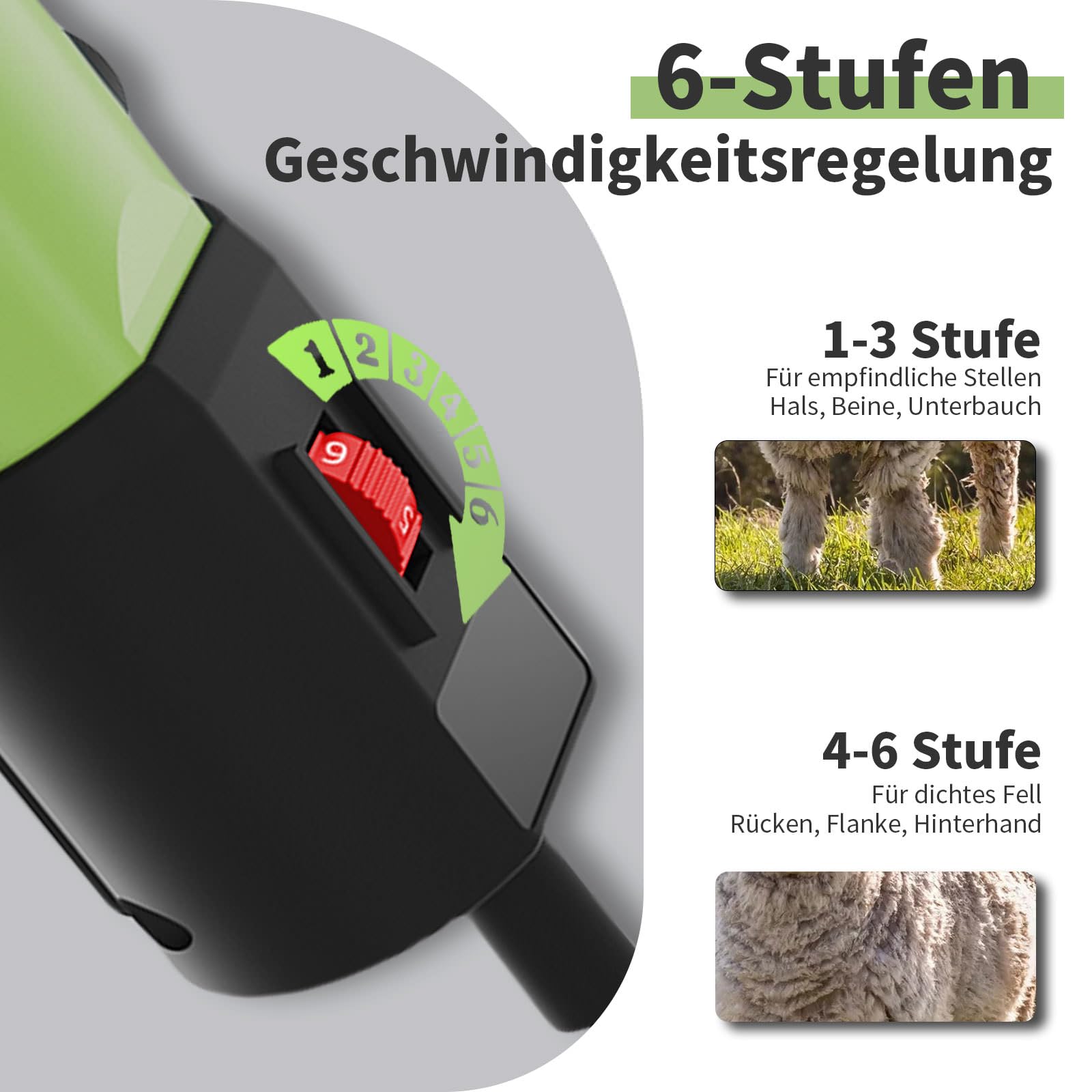 1200 W High Power - Cesoia elettrica per pecore, 6 velocità, 3200 giri/min, con lama a 13 denti, set in valigetta per pecore, alpaca, capre, cavalli (verde)