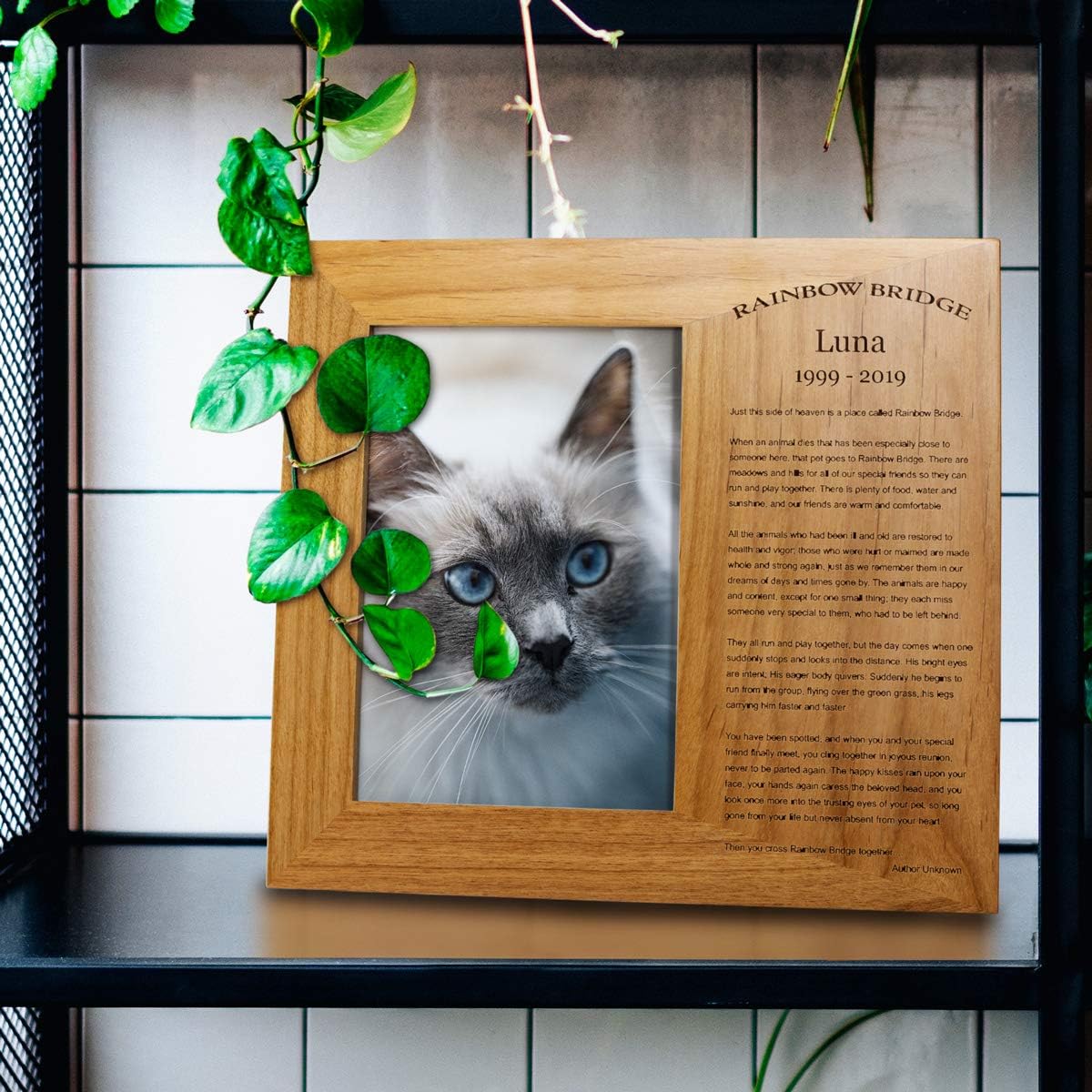 PlaqueMaker Personalized Memorial Red Alder Picture Frame - Includes Rainbow Bridge Poem and Your Lost Pets Name and Dates - A Perfect Way to Pay Tribute to your Lost Love (5 x 7)