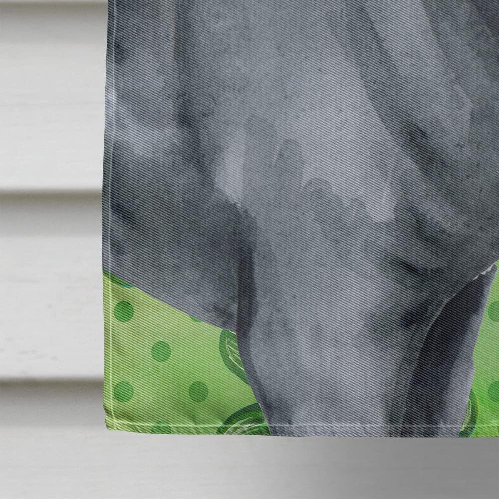 Caroline's Treasures BB9868CHF Cane Corso St Patrick's House Flag, Green Large Porch Sleeve Pole Decorative Outside Yard Banner Artwork Wall Hanging, Polyester, House Size, Multicolor