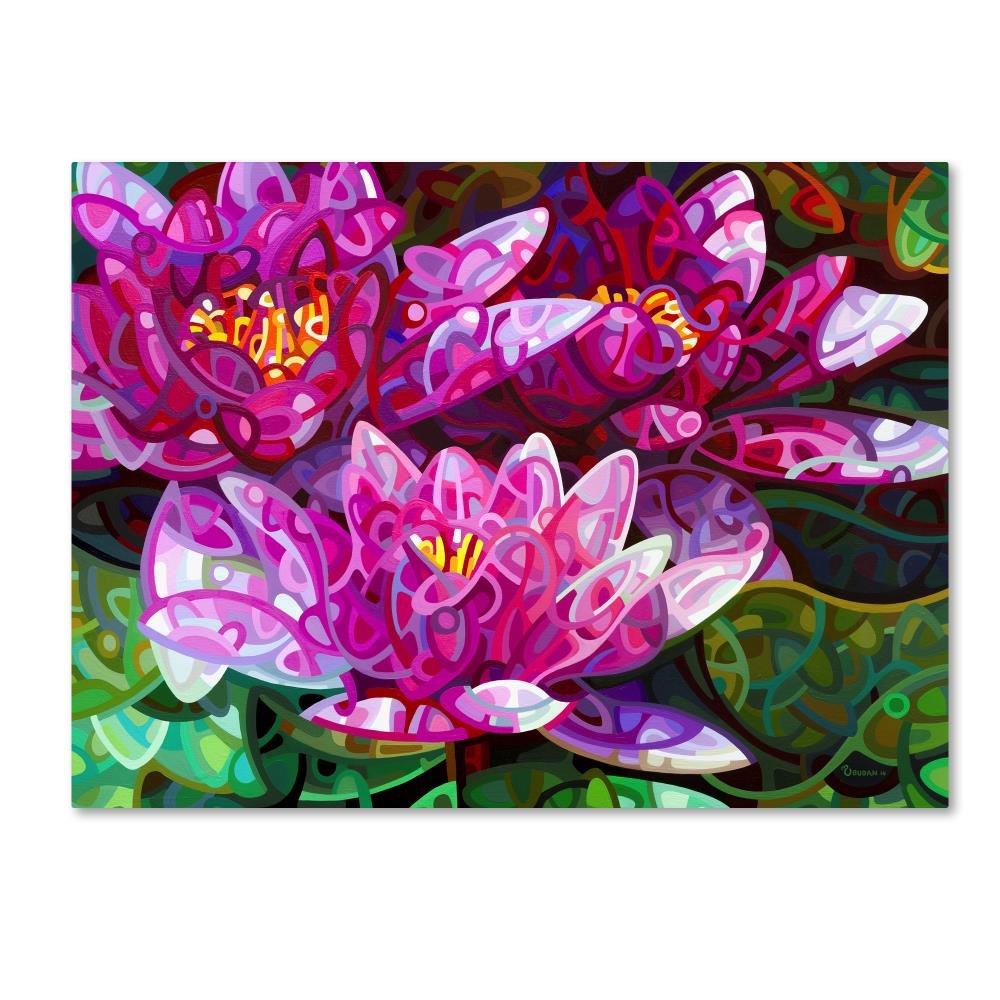 Triumvirate by Mandy Budan, 14x19-Inch Canvas Wall Art