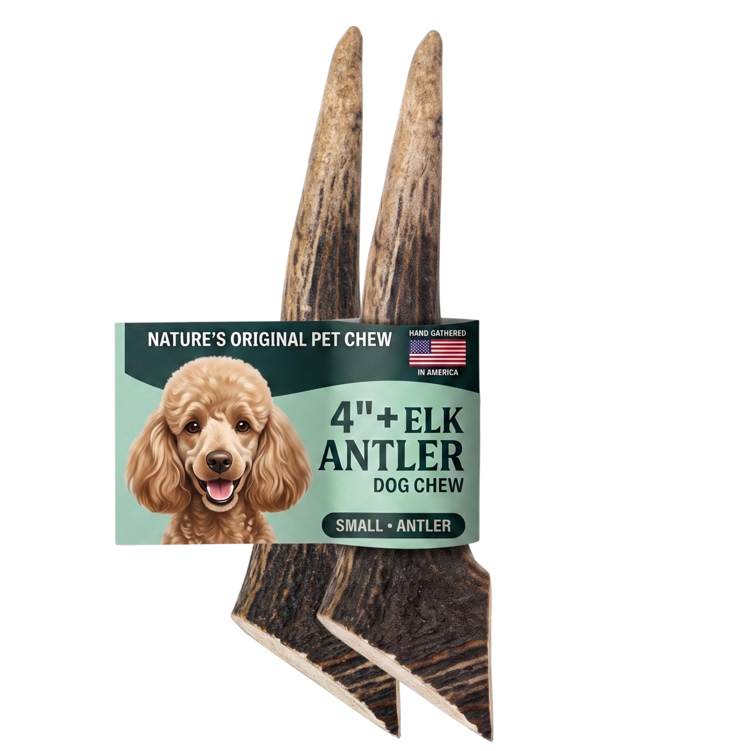 Mountain Valley Elk Antlers for Dogs Chew Whole Dog Antler,2Pack, S
