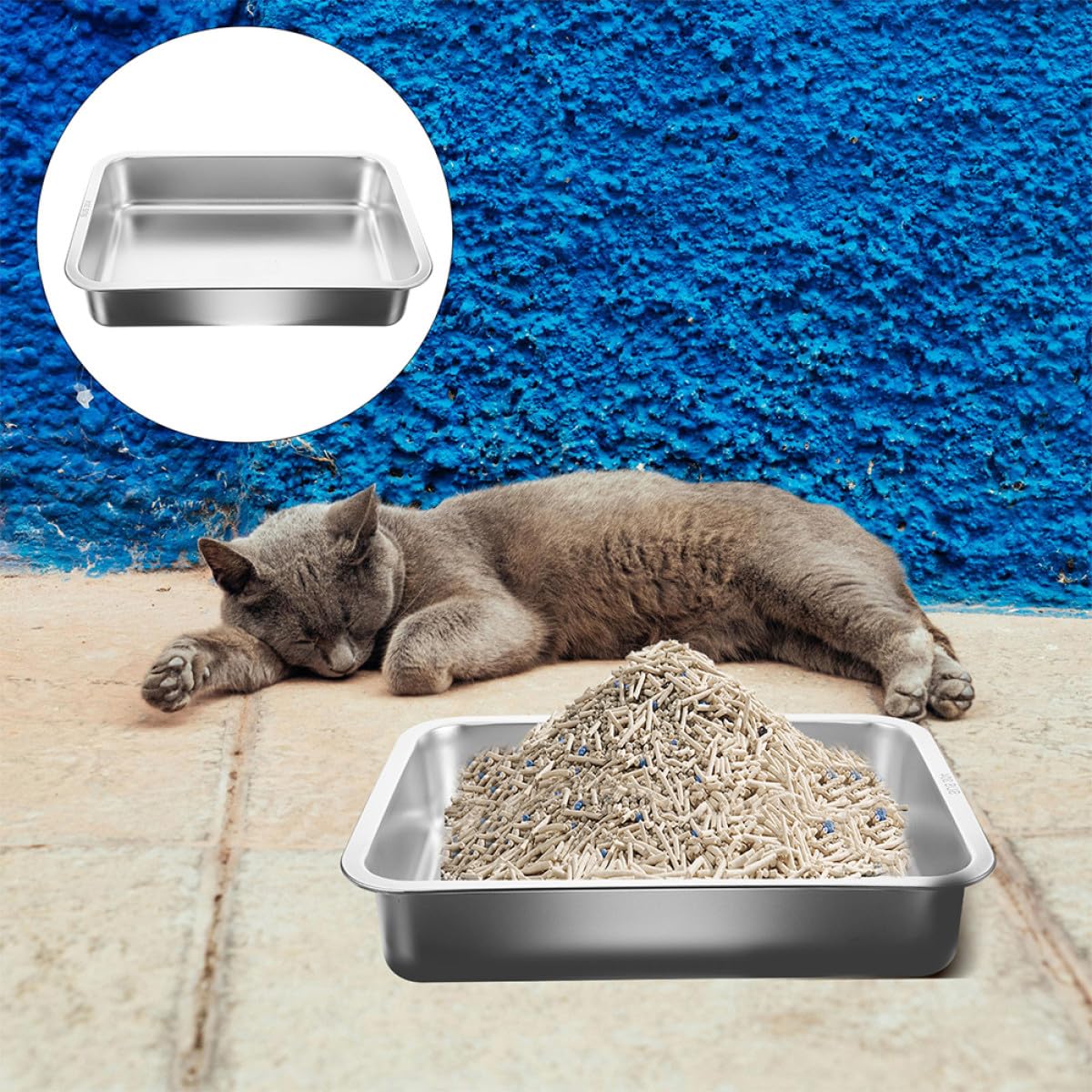 Robuste Katzentoilette aus Edelstahl und Stabilem Boden Geruchsneutral und Klebefrei mit Offenem Design für Kleine Katzen und Kätzchen